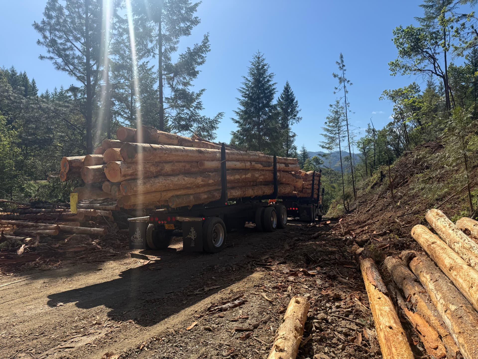 Sweeney Logging and Timber log truck loaded out on an Oregon landing