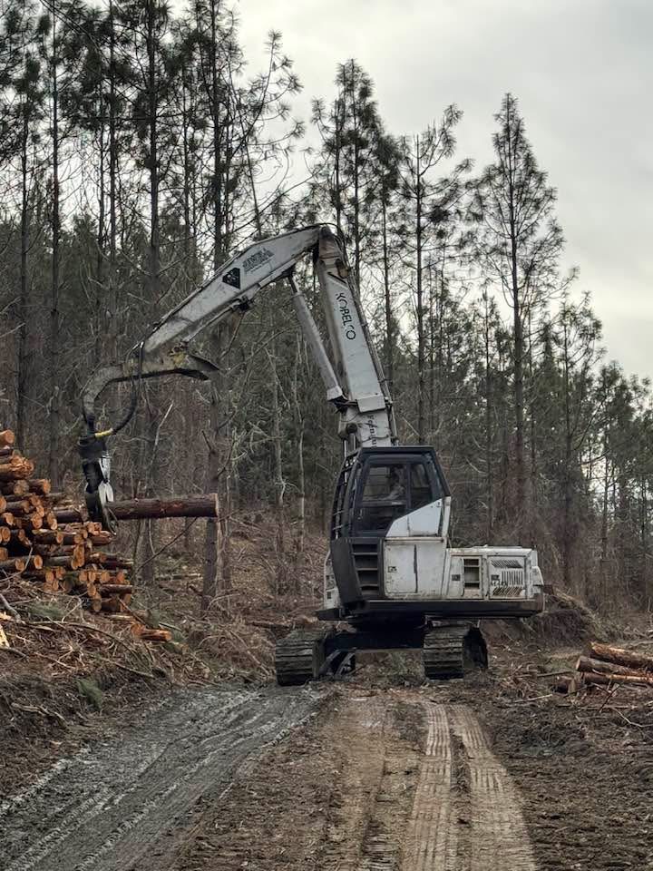 Tracked shovel logger stacking logs on a harvest unit